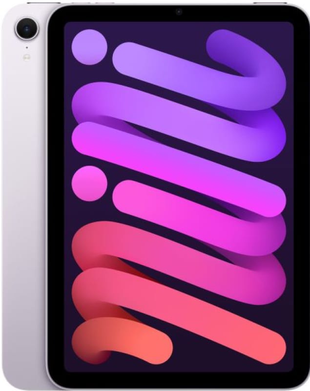 iPad mini Purple 1