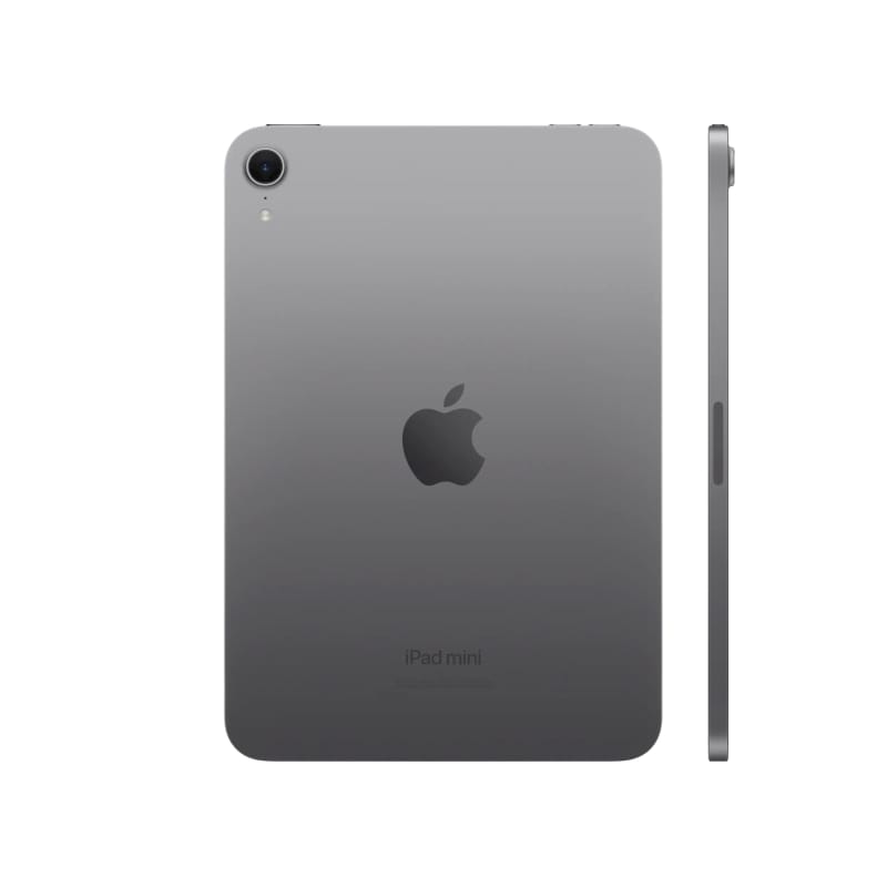 iPad mini Space Gray 3